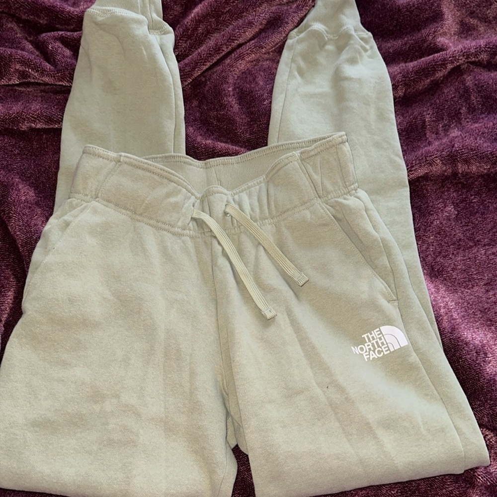 The north face sweatpants